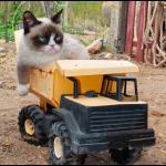 Grumpy Cat - Tractor meme