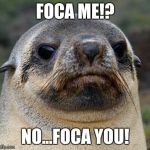 foca | FOCA ME!? NO...FOCA YOU! | image tagged in foca | made w/ Imgflip meme maker