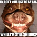 pitbullsmile | WHY DON'T YOU JUST DO AS I ASK... WHILE I'M STILL SMILING? | image tagged in pitbullsmile | made w/ Imgflip meme maker