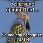 cactus wren | There's so much belief and opinion that... No one can recognize TRUTH! | image tagged in cactus wren | made w/ Imgflip meme maker