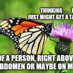 Butterfly tatoo | THINKING . . .   I JUST MIGHT GET A TATTOO OF A PERSON, RIGHT ABOVE MY ABDOMEN OR MAYBE ON MY LEG. | image tagged in butterfly tatoo | made w/ Imgflip meme maker
