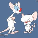 Pinky and Brain