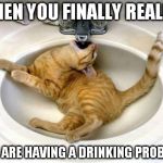 Drunk cat | WHEN YOU FINALLY REALISE YOU ARE HAVING A DRINKING PROBLEM | image tagged in drunk cat | made w/ Imgflip meme maker