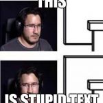 Markiplier computer stare | THIS IS STUPID TEXT | image tagged in markiplier computer stare | made w/ Imgflip meme maker