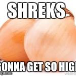 onions | SHREKS GONNA GET SO HIGH | image tagged in onions,memes | made w/ Imgflip meme maker