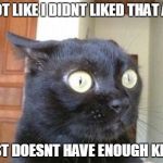 Cats | ITS NOT LIKE I DIDNT LIKED THAT ANIME IT JUST DOESNT HAVE ENOUGH KITTIES | image tagged in cats | made w/ Imgflip meme maker