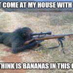 monkeys n guns | DON'T COME AT MY HOUSE WITH NO ID YOU THINK IS BANANAS IN THIS GUN ? | image tagged in monkeys n guns | made w/ Imgflip meme maker