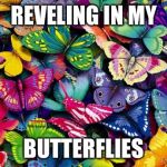 Butterflies | REVELING IN MY BUTTERFLIES | image tagged in butterflies | made w/ Imgflip meme maker