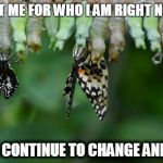 butterfly | I ACCEPT ME FOR WHO I AM RIGHT NOW, AND I SHALL CONTINUE TO CHANGE AND GROW | image tagged in butterfly | made w/ Imgflip meme maker