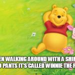 winnie | WHEN WALKING AROUND WITH A SHIRT ON AND NO PANTS IT'S CALLED WINNIE THE POOHING | image tagged in winnie | made w/ Imgflip meme maker