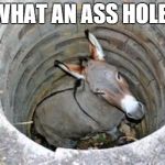 ass hole | WHAT AN ASS HOLE! | image tagged in ass hole | made w/ Imgflip meme maker