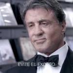 stallone tecate mas box