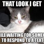 Impatient Kitty | THAT LOOK I GET WHILE WAITING FOR SOMEONE TO RESPOND TO A TEXT | image tagged in impatient kitty | made w/ Imgflip meme maker