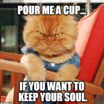 Garfi The Angry Cat | POUR ME A CUP... IF YOU WANT TO KEEP YOUR SOUL. | image tagged in garfi the angry cat | made w/ Imgflip meme maker