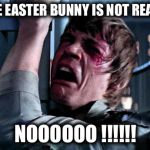 I wonder if I should tell him about Santa as well... | THE EASTER BUNNY IS NOT REAL ? NOOOOOO !!!!!! | image tagged in luke skywalker no era penal,funny,memes,happy easter,childhood | made w/ Imgflip meme maker