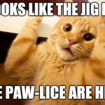 HOLD UP | IT LOOKS LIKE THE JIG IS UP THE PAW-LICE ARE HERE | image tagged in hold up,police,cats,puns | made w/ Imgflip meme maker