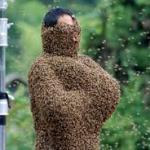 man covered in bees