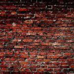 brick wall meme
