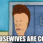 Butthead Beavis Paycoin Idiots | HOUSEWIVES ARE COOL | image tagged in butthead beavis paycoin idiots,beavis and butthead | made w/ Imgflip meme maker