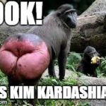 Kim Kardashian's new butt selfie | LOOK! IT'S KIM KARDASHIAN! | image tagged in kim kardashian's new butt selfie,kim kardashian | made w/ Imgflip meme maker