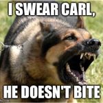 Angry Dog | I SWEAR CARL, HE DOESN'T BITE | image tagged in angry dog | made w/ Imgflip meme maker