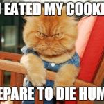 mad cat | U EATED MY COOKIE PREPARE TO DIE HUMAN | image tagged in mad cat | made w/ Imgflip meme maker