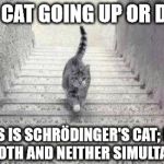 The Escher Cat Debate | IS THE CAT GOING UP OR DOWN? THIS IS SCHRÖDINGER'S CAT; IT IS DOING BOTH AND NEITHER SIMULTANEOUSLY. | image tagged in escher cat | made w/ Imgflip meme maker