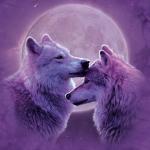 Wolf lovers
