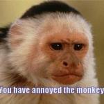Annoyed monkey