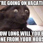 Psycho Cat | YOU'RE GOING ON VACATION? HOW LONG WILL YOU BE GONE FROM YOUR HOUSE? | image tagged in schizo cat,cats,memes | made w/ Imgflip meme maker