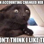 Psycho Cat | JEN IN ACCOUNTING CHANGED HER HAIR I DON'T THINK I LIKE THAT | image tagged in schizo cat,cats,meme | made w/ Imgflip meme maker