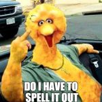 Big Bird | DO I HAVE TO SPELL IT OUT | image tagged in big bird | made w/ Imgflip meme maker