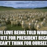 Obama Sheep | WE LOVE BEING TOLD WHOM TO VOTE FOR PRESIDENT BECAUSE WE CAN'T THINK FOR OURSELVES! | image tagged in obama sheep | made w/ Imgflip meme maker