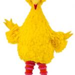 Nogla the big bird