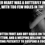 Single couple | HER HEART WAS A BUTTERFLY IN A JAR, WITH TOO FEW HOLES IN THE LID, ROTTEN FRUIT AND DRY GRASS ON THE BOTTOM, AND A WEEPING WILLOW TWIG, WAIT | image tagged in single couple | made w/ Imgflip meme maker