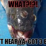 Fish | WHAT?!?! CAN'T HEAR YA. GOT 3 EYES! | image tagged in fish | made w/ Imgflip meme maker