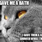 PTSD Cat | THEY GAVE ME A BATH I GAVE THEM A GOLDEN SHOWER WHILE THEY SLEPT | image tagged in ptsd cat,memes,funny cat memes | made w/ Imgflip meme maker