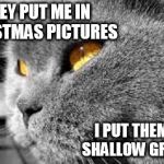 PTSD Cat | THEY PUT ME IN CHRISTMAS PICTURES I PUT THEM IN SHALLOW GRAVES | image tagged in ptsd cat,memes,funny cat memes | made w/ Imgflip meme maker