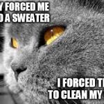 PTSD Cat | THEY FORCED ME INTO A SWEATER I FORCED THEM TO CLEAN MY VOMIT | image tagged in ptsd cat,memes,funny cat memes | made w/ Imgflip meme maker
