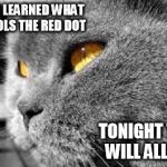 PTSD Cat | TODAY I LEARNED WHAT CONTROLS THE RED DOT TONIGHT THEY WILL ALL PAY | image tagged in ptsd cat,memes,funny cat memes | made w/ Imgflip meme maker