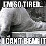 tired polar bear | I'M SO TIRED.. .. I CAN'T BEAR IT! | image tagged in tired polar bear | made w/ Imgflip meme maker