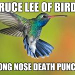 Humming Bird | BRUCE LEE OF BIRDS LONG NOSE DEATH PUNCH | image tagged in humming bird,bruce lee,death punch,long nose,funny,memes | made w/ Imgflip meme maker