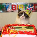 grumpy cat birthday  meme