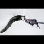 Sniper Cat meme