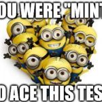Love minions | YOU WERE "MINT" TO ACE THIS TEST! | image tagged in love minions | made w/ Imgflip meme maker