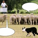 Sheep Effect meme