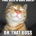 Smug Cat | HAVING TROUBLE WITH THE FINAL BOSS IN DARK SOULS? OH, THAT BOSS WAS EASY | image tagged in smug cat | made w/ Imgflip meme maker