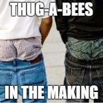 SaggyThugPants | THUG-A-BEES IN THE MAKING | image tagged in saggythugpants | made w/ Imgflip meme maker