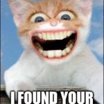 Crazy cat  | HAHA!!! I FOUND YOUR HAPPY PILLS | image tagged in crazy cat | made w/ Imgflip meme maker