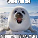 So much win | WHEN YOU SEE A FUNNY, ORIGINAL MEME | image tagged in seal of approval,memes,funny memes,original meme | made w/ Imgflip meme maker